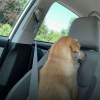 it_smells_like_upsexy