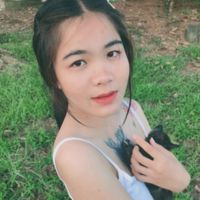 nchair1412