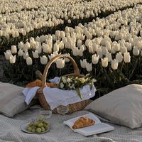 оригінальний звук