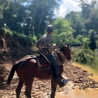 elflaco318