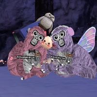 rowan_vr_