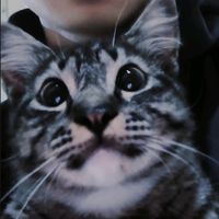 suara asli - Muhammad Algi Baehaki