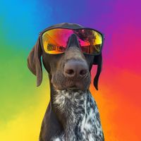 moose_thegsp