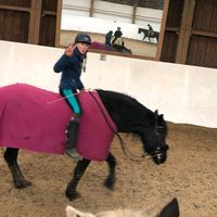 myhorsesafiramylive