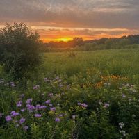 relationshipsforreal