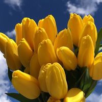 оригінальний звук