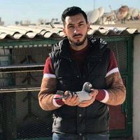 pigeon.voyageur.maroc