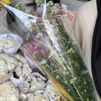 suara asli - 🧟‍♀️