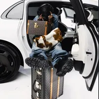 ken carson n destroy lonely . paranoid