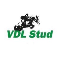 vdlstud