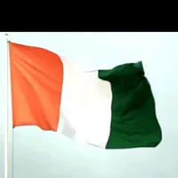 original sound - combattant225