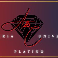 joyeriauniversoplatino06