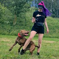 pitbull_corso_mom
