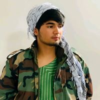alimohammadshojae