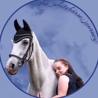the_whitehorse_journey