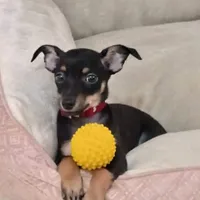 original sound - adriano_marani