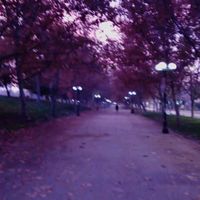 jc_x71