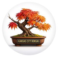 kansascitybonsai