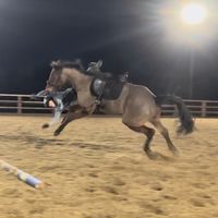 meg.campbe11