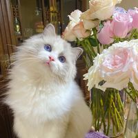 louise_5201