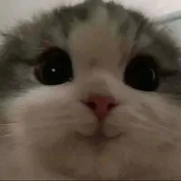 original sound - nahomi19382