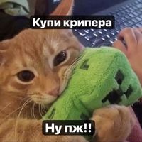 prosta_alya