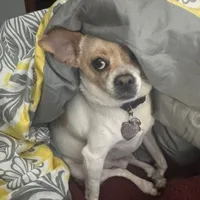 original sound - romiebaloney