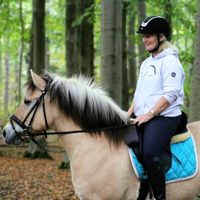 fjordhorse.vastan