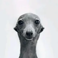 original sound - samii_razymni