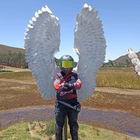 luischavez154