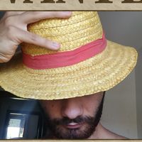 mn.davide