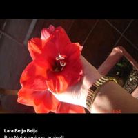nilda47653