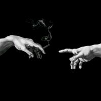 pitayamayoegmail.com