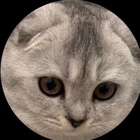 spoonissnotacat