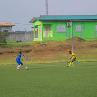 ballotely.7