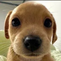 Subway Surfers Theme