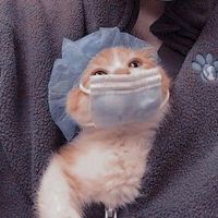cherry__aesthectic