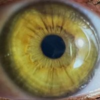 littletatumkirkpatrick