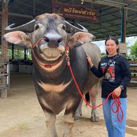 เสียงต้นฉบับ - Jes_sarin