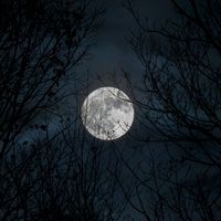 оригинальный звук