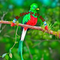 sonido original