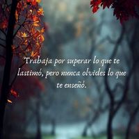 momento_reflexivo_
