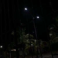musicasevideo_4