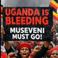 original sound - rtifa3