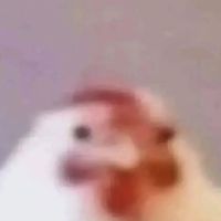 ._.losersquirrel
