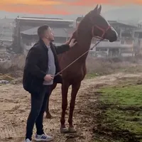 original sound - monuraksoy