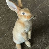 carmenelsamejiamelgarejo