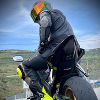 la_r6dorada