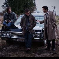 mywinchesterboys