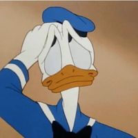 everythingontheearth